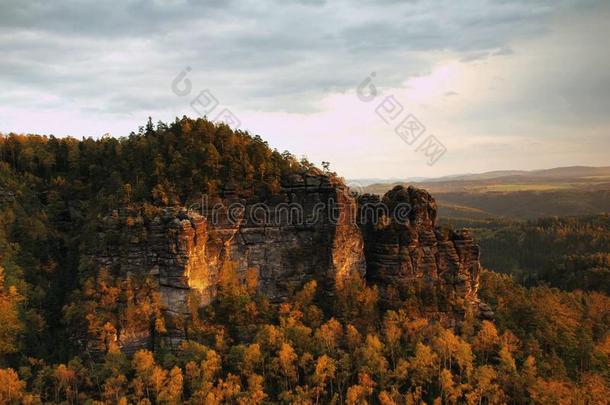 秋天的日落景色在砂岩上落下瑞士波西米亚五彩缤纷的山谷。森林中的砂岩山峰。