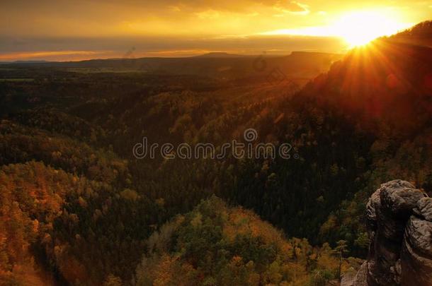 秋天的日落景色在砂岩上落下瑞士波西米亚五彩缤纷的山谷。森林中的砂岩山峰。