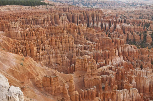 美国风景