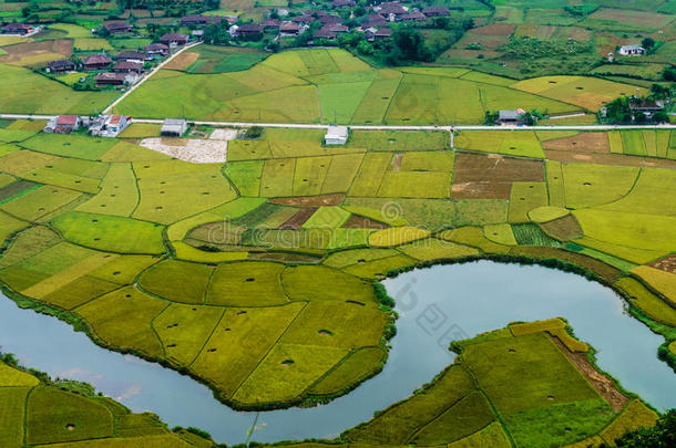 越南<strong>风景</strong>：稻田里有一条河，在泰少数<strong>民族</strong>的山谷里，巴松朗森越南