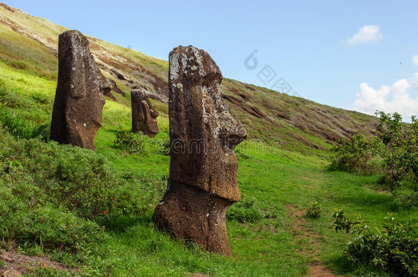 帕斯卡岛上的雕像。拉帕努伊。复活节岛