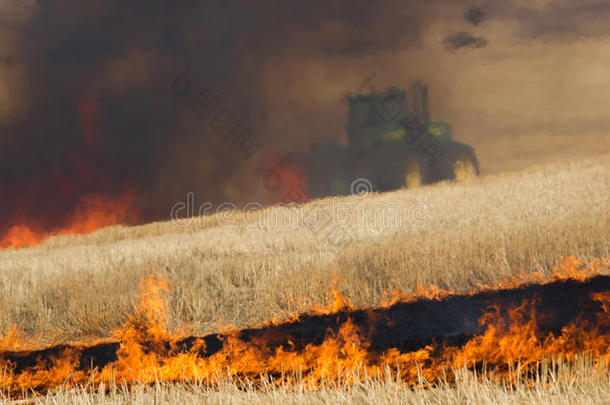 农民焚烧农作物秸秆收获消防拖拉机