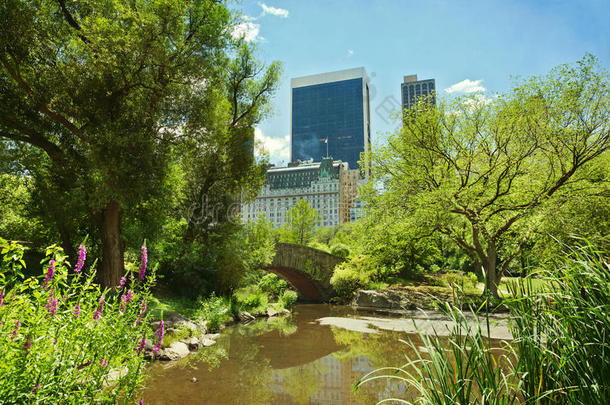 中央公园池塘和桥。<strong>美国纽约</strong>市。