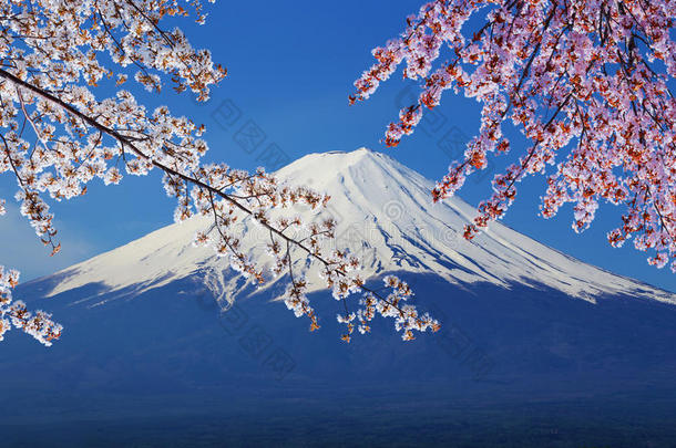 <strong>富士山</strong>，川口子湖风景