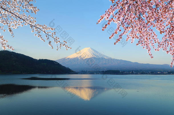 富士山，川口子湖风景