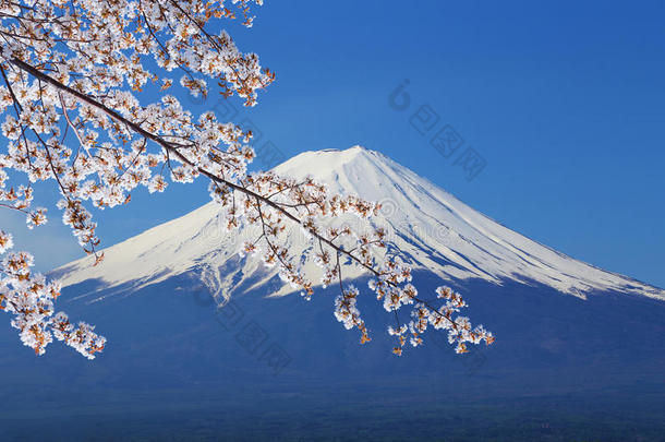 富士山，川口子湖风景