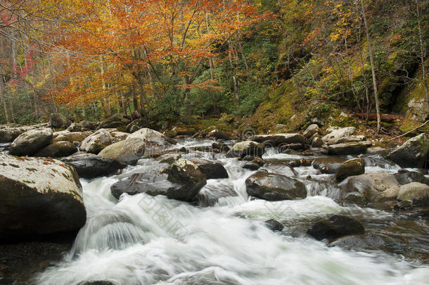 绚丽的秋色，奔流的溪流。