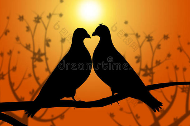 爱鸟代表着心灵的怜悯和男朋友