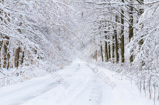 雪路