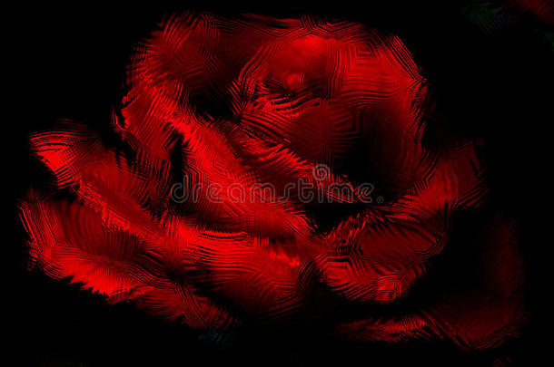 抽象曲线图案红玫瑰黑