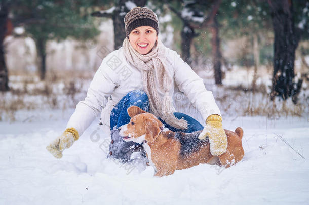 冬季活动与最爱的狗