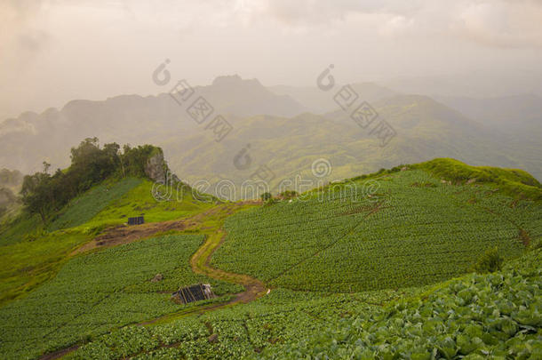 雾绿山路线