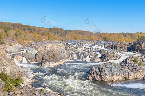 秋天的颜色，波托马克河，河流小径，大瀑布国家公园，弗吉尼亚州
