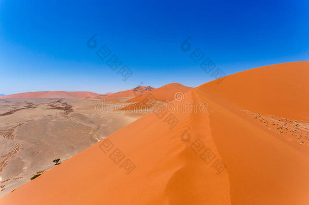 45号沙丘位于纳米比亚索苏斯雷，从45号沙丘顶部观看，从沙丘顶部观看