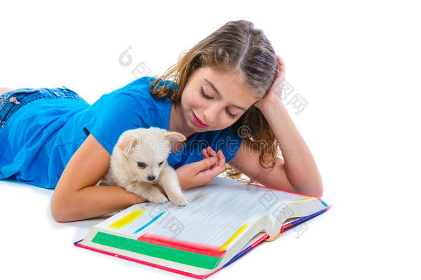 家庭作业中带着小狗吉娃娃宠物狗的小女孩