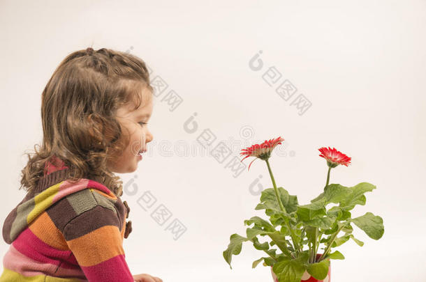 美丽的小女孩在赏花