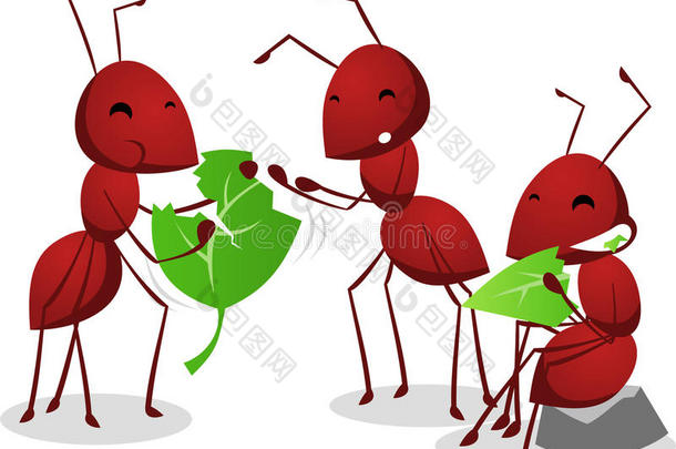 三只蚂蚁吃绿叶