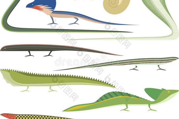 爬行动物卡通爬行动物类型集