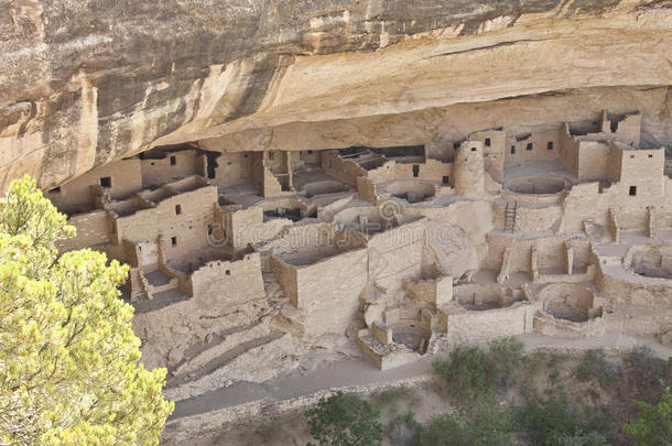 美国风景