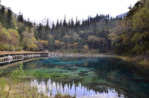 <strong>九寨沟</strong>风景。