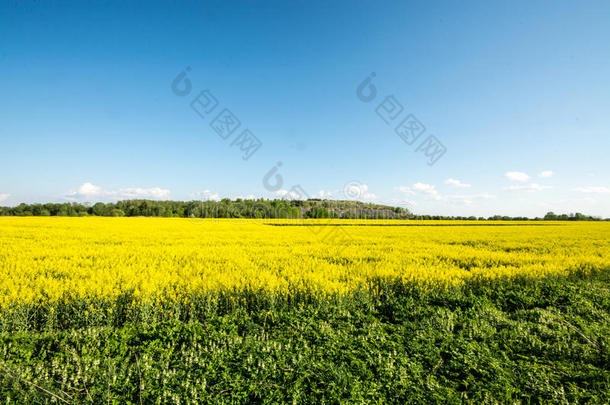 黄色<strong>的</strong>夏日<strong>田野</strong>，浩瀚<strong>的</strong>天空