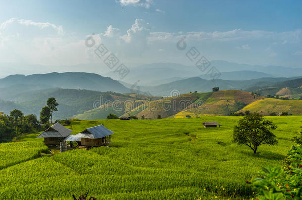 带小房子的稻田<strong>露台景观</strong>