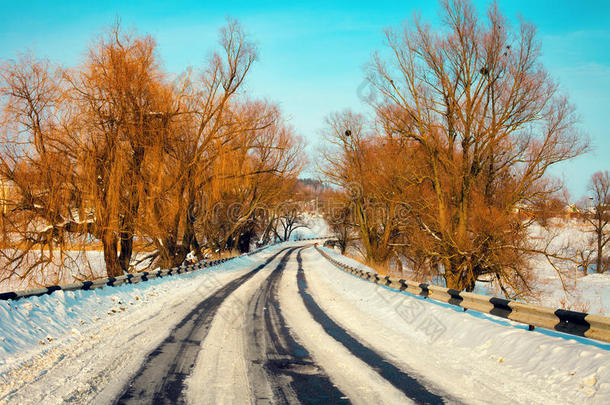 冬季有树的雪路