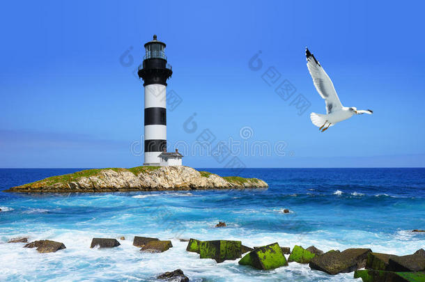 岩石上的灯塔，海边，飞翔的海鸥