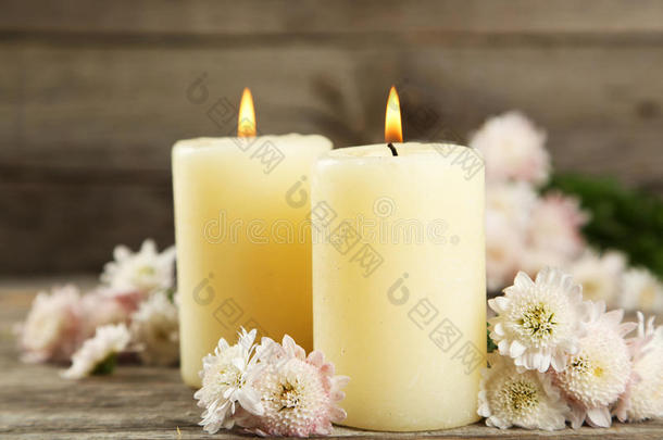 美丽的白色菊花，灰色木质背景上有蜡烛。