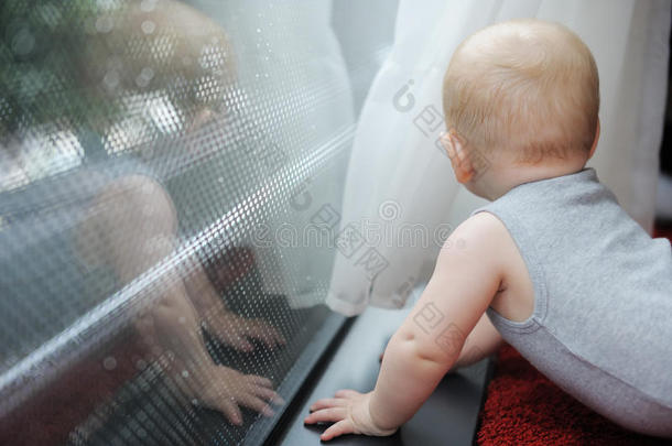 看着窗外的婴儿
