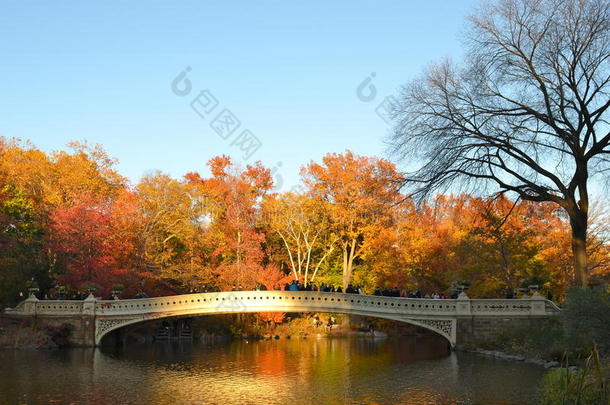 2014年11月15日，<strong>美国纽约</strong>市曼哈顿中央公园。