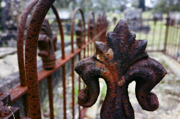 在澳大利亚蓝山的墓地里，生锈的<strong>铁栅栏</strong>守卫着一座古老的坟墓