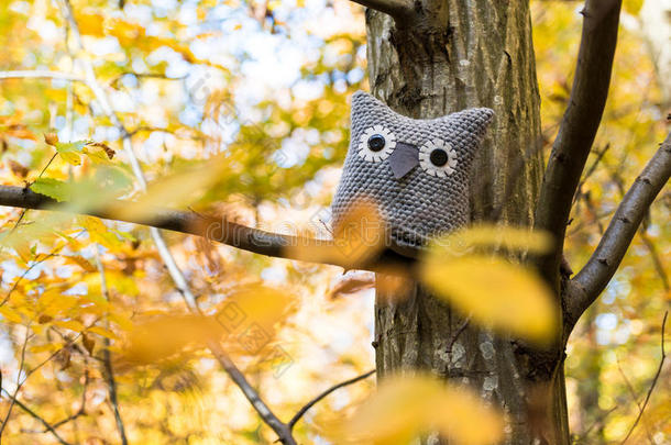 柔软的玩具猫头鹰被放在秋天的森林里