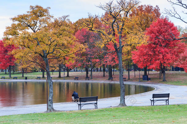 秋天的华盛顿特区宪法花园