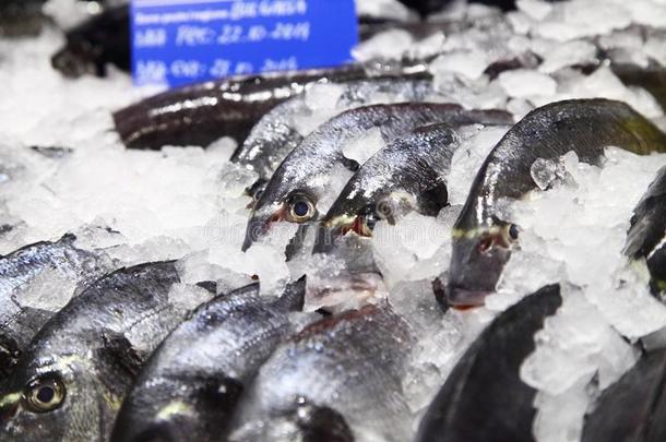 超市里的冰上鱼