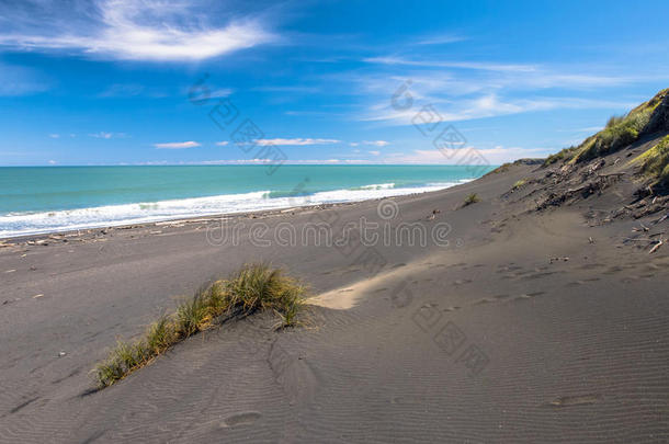 新西兰新普利茅斯附近黑沙滩上的草