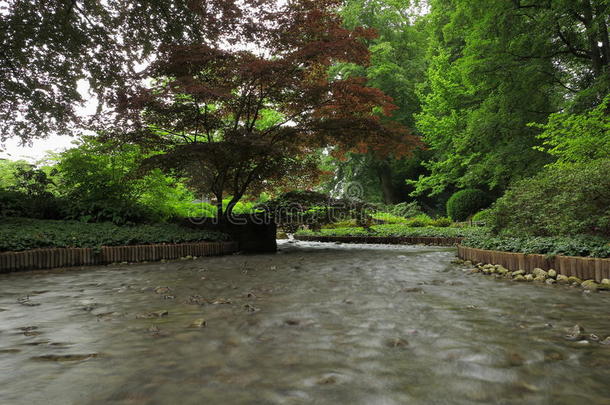 花园里的小河风景，波光粼粼的水面