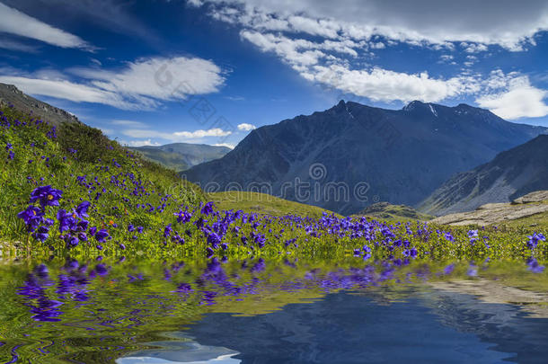 山川奇景