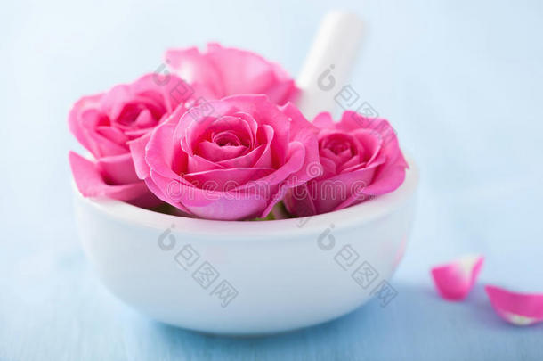 香薰和水疗用的粉红色玫瑰花