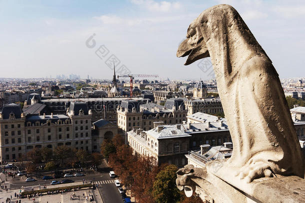 巴黎，法国，巴黎圣母院大教堂的石像馆。