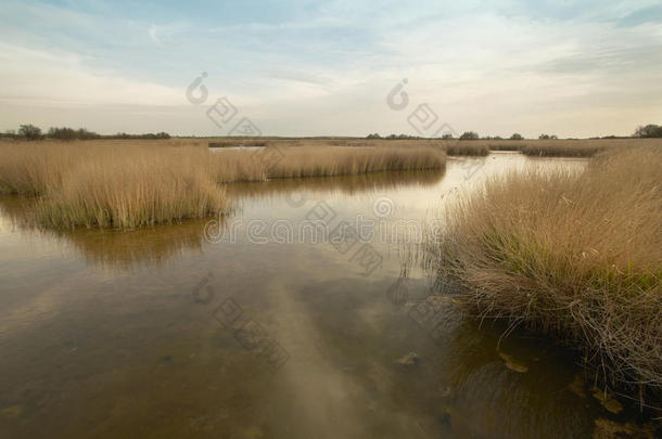 温暖色调的湿地景观。西班牙
