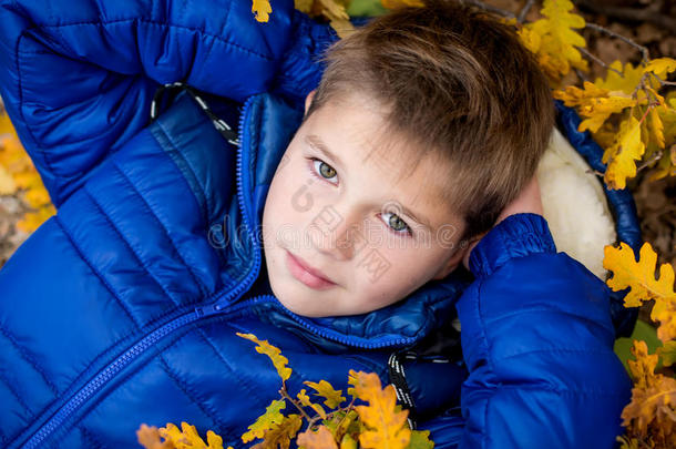 秋天肖像小男孩在树叶