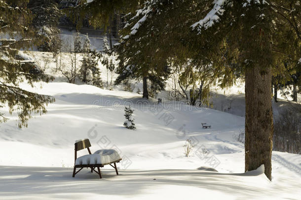 树下覆盖着雪的<strong>小板凳</strong>
