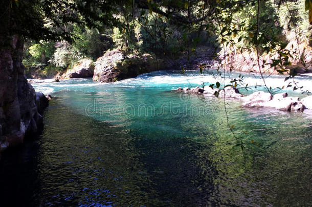 惠洛惠洛国家保护区-智利