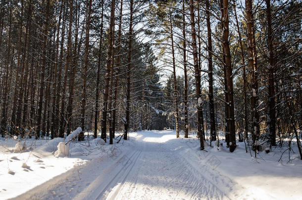 滑雪道冬季景观