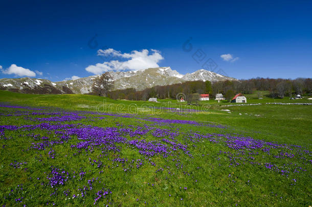 黑山<strong>初春</strong>的杜米托国家公园