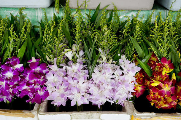 一束当地的泰国兰花在鲜花市场为佛陀。 兰花