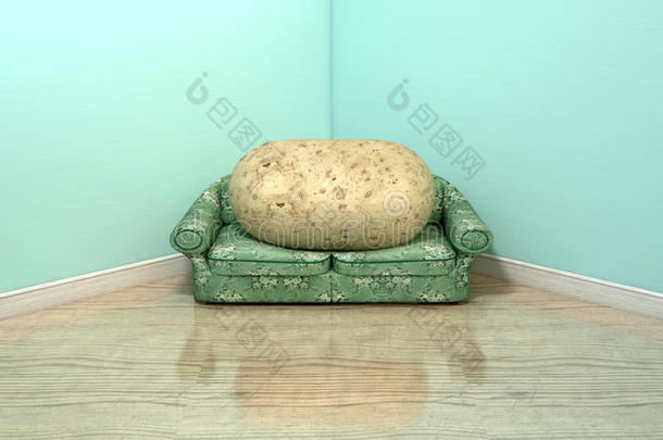 沙发上的沙发土豆