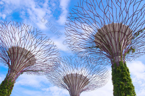2014年4月6日：新加坡海湾花园