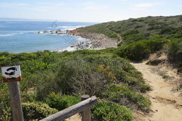 有海岩和植被的小路和徒步旅行路线